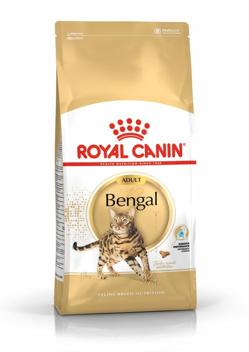 Het is goedkoop Spit Heerlijk Royal Canin kattenvoer Bengal Adult 10 kg | Diebo Huisdierwereld