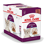 Royal Canin kattenvoer Sensory Feel in gravy 12 x 85 gr