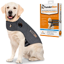 Thundershirt Hond