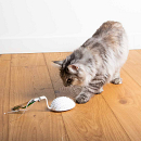 EBI Kattenspeelgoed Mouse on the Move