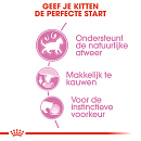 Royal Canin kattenvoer Kitten in Gravy <br>12 x 85 gr