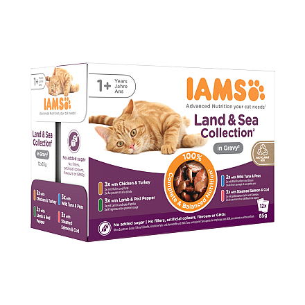 IAMS Delights Land & Sea Collection in Gravy 12 x 85 gr